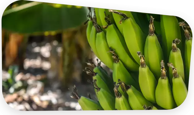 Grain Storage Market, Global Outlook and Forecast 2026-2032